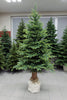 220 cm PE+PVC Dirbtinė Kalėdų eglutė su kamienu