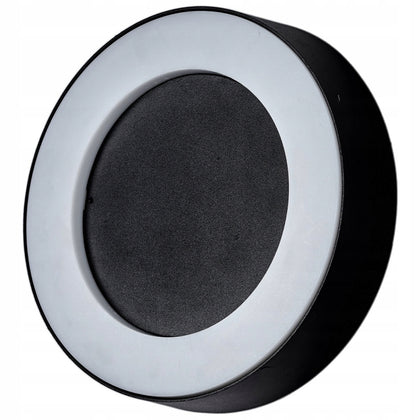 Dārza sienas LED lampa, 12W, IP54 