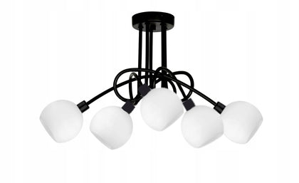 Pakabinamas šviestuvas DORA6-100