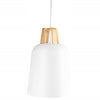 Griestu lampa SCANDI Wood