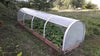 Inspekt mini šiltnamis iš polikarbonato 1,5 x 4 m